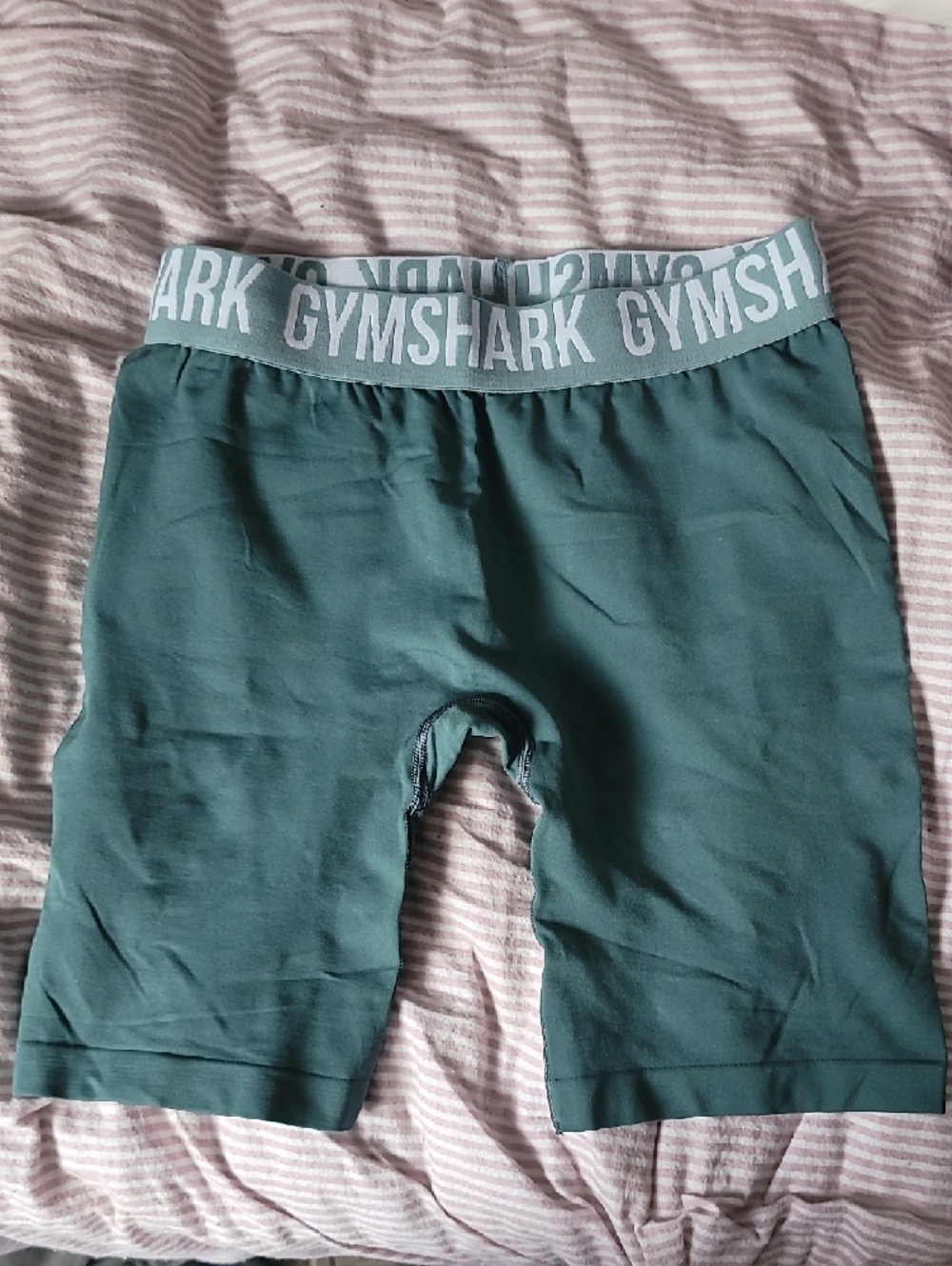 Gymshark Teal Seamless Biker Shorts with Branded Waistband